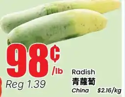 Terra Foodmart Radish offer