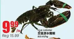 Terra Foodmart Live Lobster offer