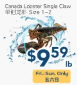 Oceans Fresh Food Market Canada Lobster Single Claw offer