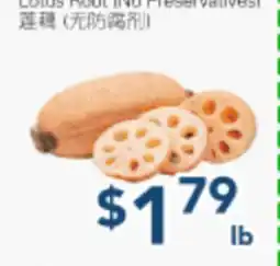 Oceans Fresh Food Market Lotus Root INO Preservatives offer