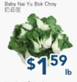Oceans Fresh Food Market Baby Nai Yu Bok Choy offer