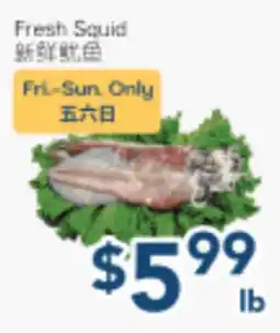 Oceans Fresh Food Market Fresh Squid offer