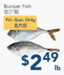 Oceans Fresh Food Market Bumper Fish offer