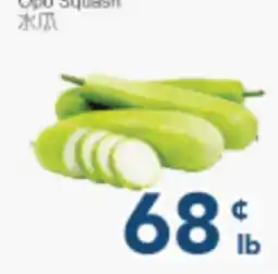 Oceans Fresh Food Market Opú squash offer