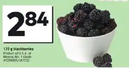 Giant Tiger Blackberries offer