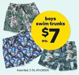 Giant Tiger Boys swim trunks offer