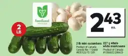 Giant Tiger Mini cucumbers, whole white mushrooms offer
