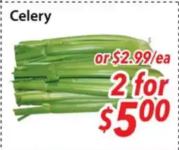 Bestco Food Mart Celery offer