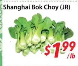 Bestco Food Mart Shanghai Bok Choy (JR) offer