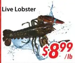Bestco Food Mart Live Lobster offer