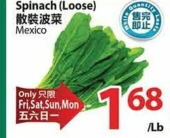T&T Supermarket Spinach (loose) offer