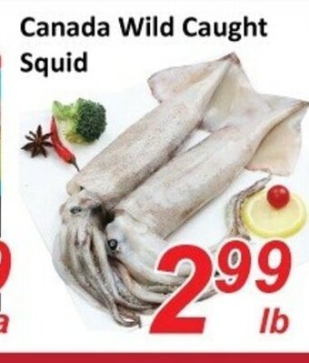 Fresh Win Foodmart Canada Wild Caught Squid offer