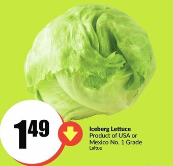 FreshCo Iceberg Lettuce offer