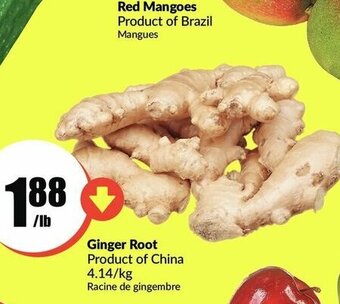 FreshCo Ginger root offer
