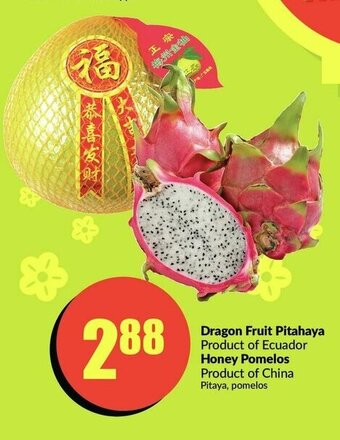 FreshCo Dragon Fruit Pitahaya offer