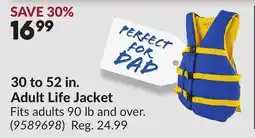 Princess Auto 30 to 52 in. Adult Life Jacket offer