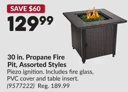 Princess Auto 30 in. Propane Fire Pit, Assorted Styles offer