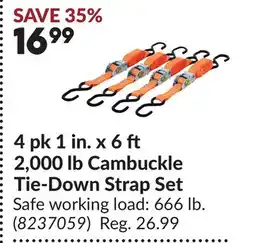 Princess Auto 4 pk 1 in. x 6 ft 2,000 lb Cambuckle Tie-Down Strap Set offer