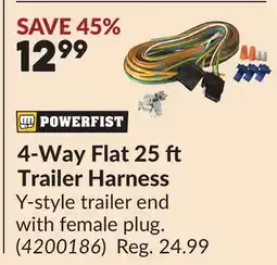 Princess Auto 4-Way Flat 25 ft Trailer Harness offer