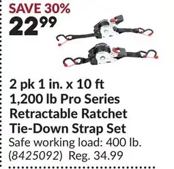 Princess Auto 2 pk 1 in. x 10 ft 1,200 lb Pro Series Retractable Ratchet Tie-Down Strap Set offer