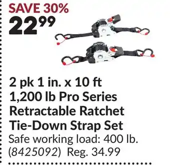 Princess Auto 2 pk 1 in. x 10 ft 1,200 lb Pro Series Retractable Ratchet Tie-Down Strap Set offer