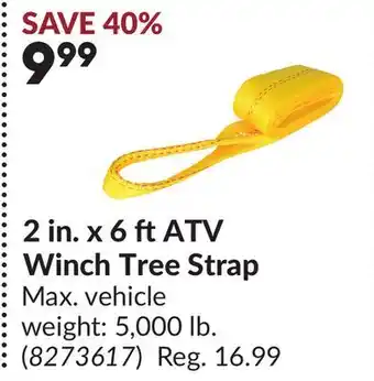 Princess Auto 2 in. x 6 ft ATV Winch Tree Strap offer
