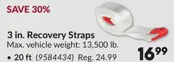 Princess Auto 3 in. Recovery Straps offer