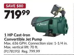 Princess Auto 1 HP Cast-Iron Convertible Jet Pump offer