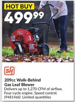 Princess Auto 209cc Walk-Behind Gas Leaf Blower offer