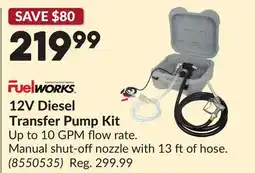 Princess Auto 12V Diesel Transfer Pump Kit offer