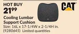 Princess Auto Cooling Lumbar Support Cushion offer