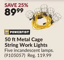 Princess Auto 50 ft Metal Cage String Work Lights offer
