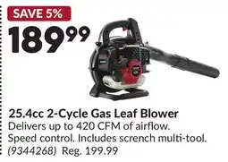 Princess Auto 25.4cc 2-Cycle Gas Leaf Blower offer