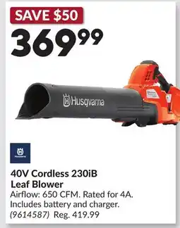Princess Auto 40V Cordless 230iB Leaf Blower offer