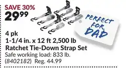 Princess Auto Ratchet Tie-Down Strap Set offer