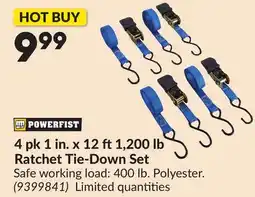Princess Auto 4 pk 1 in. x 12 ft 1,200 lb Ratchet Tie-Down Set offer