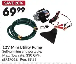 Princess Auto 12V Mini Utility Pump offer