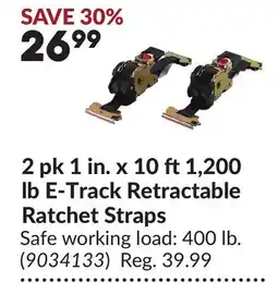 Princess Auto 2 pk 1 in. x 10 ft 1,200 lb E-Track Retractable Ratchet Straps offer