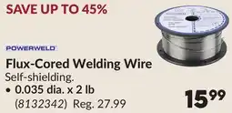 Princess Auto Flux-Cored Welding Wire offer