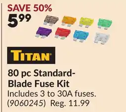 Princess Auto TITAN 80 pc Standard-Blade Fuse Kit offer