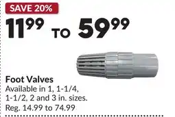 Princess Auto Foot Valves offer