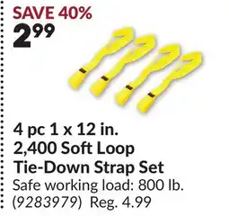 Princess Auto 4 pc 1 x 12 in. 2,400 Soft Loop Tie-Down Strap Set offer