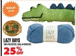Len's Mill Stores LION BRAND YARNS LAZY DAYS offer