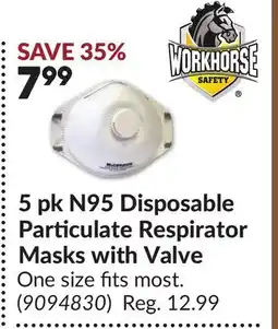 Princess Auto 5 pk N95 Disposable Particulate Respirator Masks with Valve offer