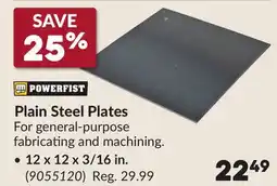 Princess Auto Plain Steel Plates offer