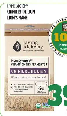 Marches Tau CRINIERE DE LION LIVING ALCHEMY offer