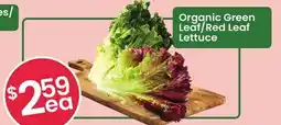 Healthy Planet Organic Green Leaf/Red Leaf Lettuce offer