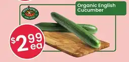 Healthy Planet Organic English Cucumber offer