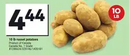 Giant Tiger 10 lb russet potatoes offer