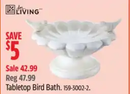Canadian Tire For Living Tabletop Bird Bath offer